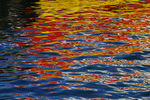 Novembre09-0147.jpg