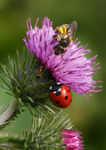 Rencontre-0038.jpg