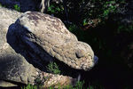 Serpent.jpg