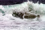 Vague-134.jpg