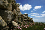 Vieux_mur-w.jpg