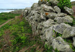 Vieux_mur_01.jpg