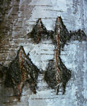 autumn-0015.jpg