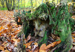 autumn-0026.jpg