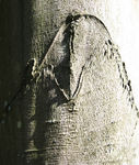 autumn0001.jpg