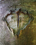 autumn0009.jpg