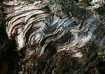 autumn0020.jpg