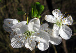 test4-0036.jpg