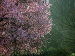 test4-0056.jpg