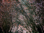 test4-0062.jpg